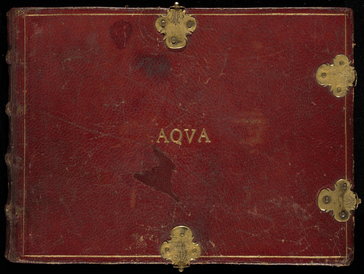 Animalia Aqvatilia et Conchiliata (Aqva), volym III av Joris Hoefnagel