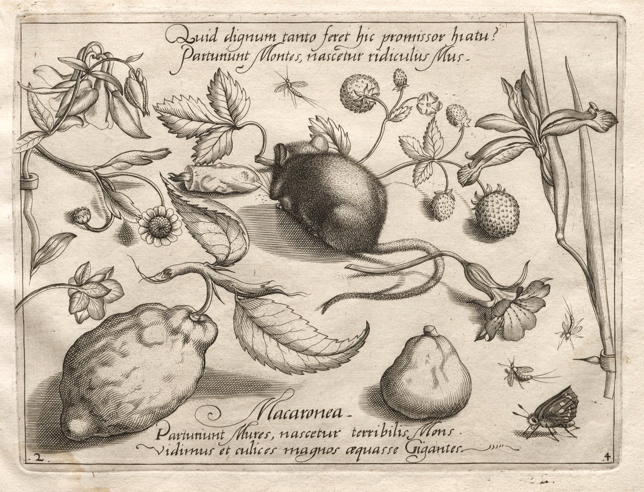 Arketyper och studier: Vad kan dyka upp i enlighet med ett sådant kavernöst löfte, 1592. av Joris Hoefnagel