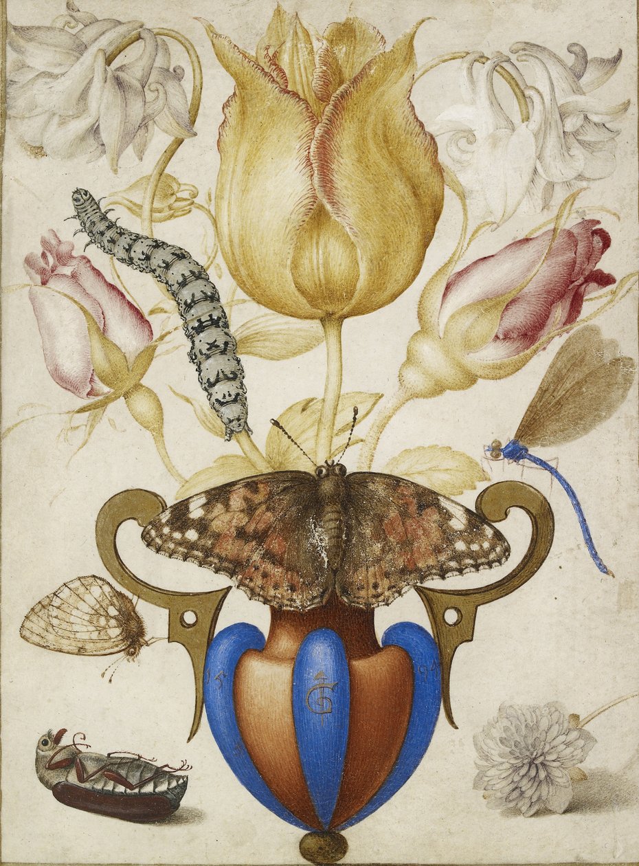 Arrangemang av blommor i en vas med insekter, 1594 (Akvarell med guld på pergament) av Joris Hoefnagel