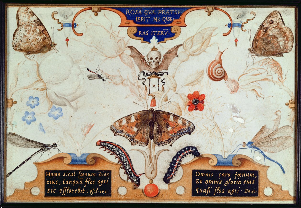 Diptyk med blommor och insekter, 1591 (marouflage och pergament på panel) av Joris Hoefnagel