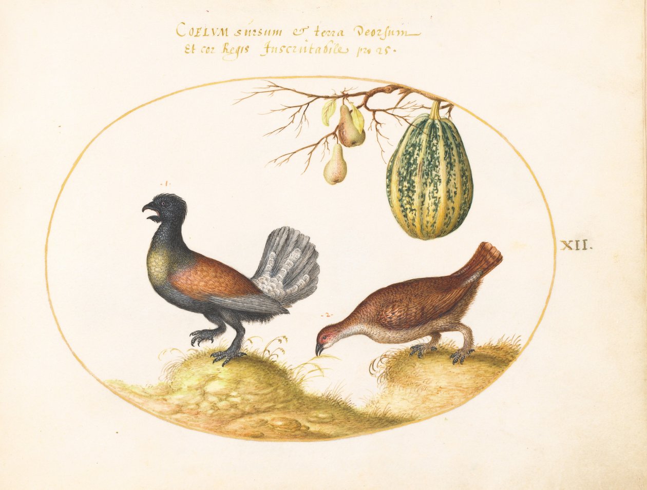 Plansch 12: Ett par tjädrar med en melon och päron av Joris Hoefnagel