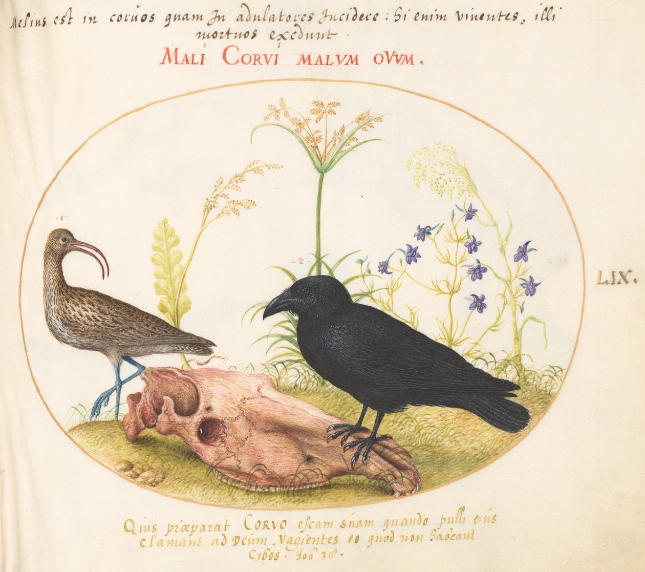 Tallrik 59: Curlew and Crow with Horse Skull av Joris Hoefnagel