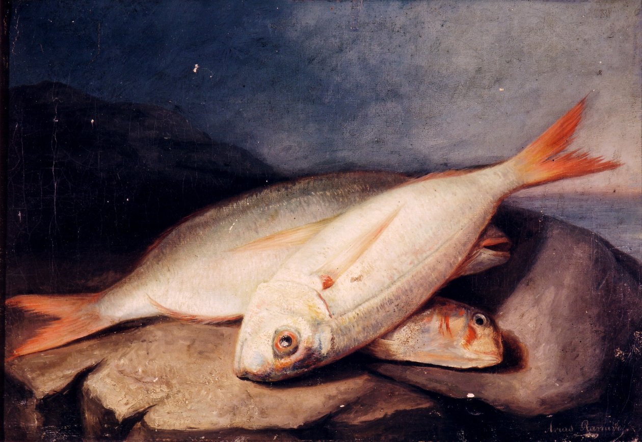Spanska: Bodegón de peces av José Arias Ramírez