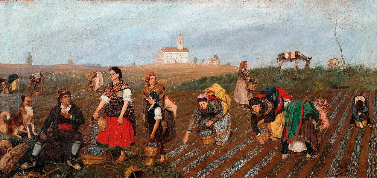 "" Saffranssamlingen "" Detalj. Målning av Jose Albinana Bru (1800-talet). 1877. Valencia. Museum of Fine Arts San Pio V. av Jose Bru Albinana