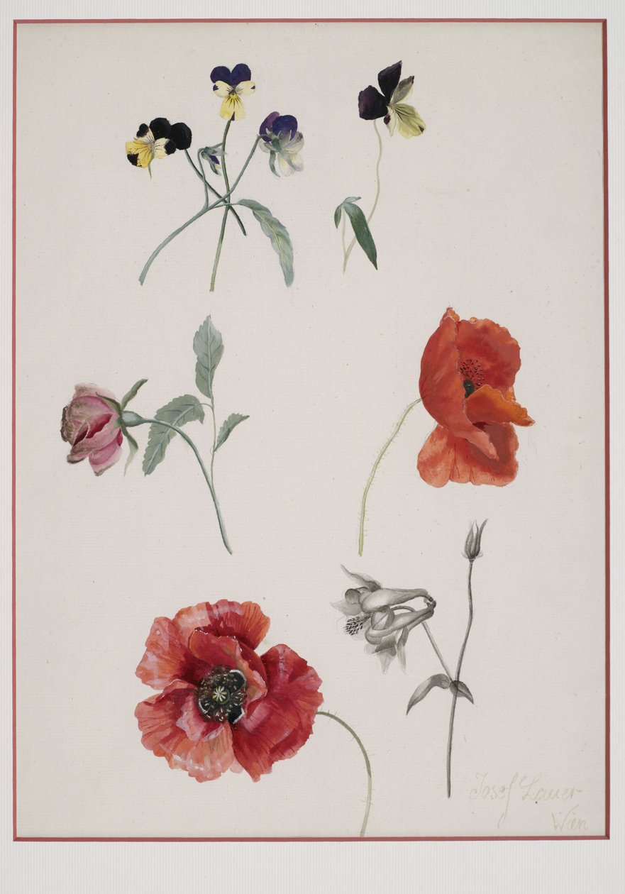 Blumen av Josef Lauer
