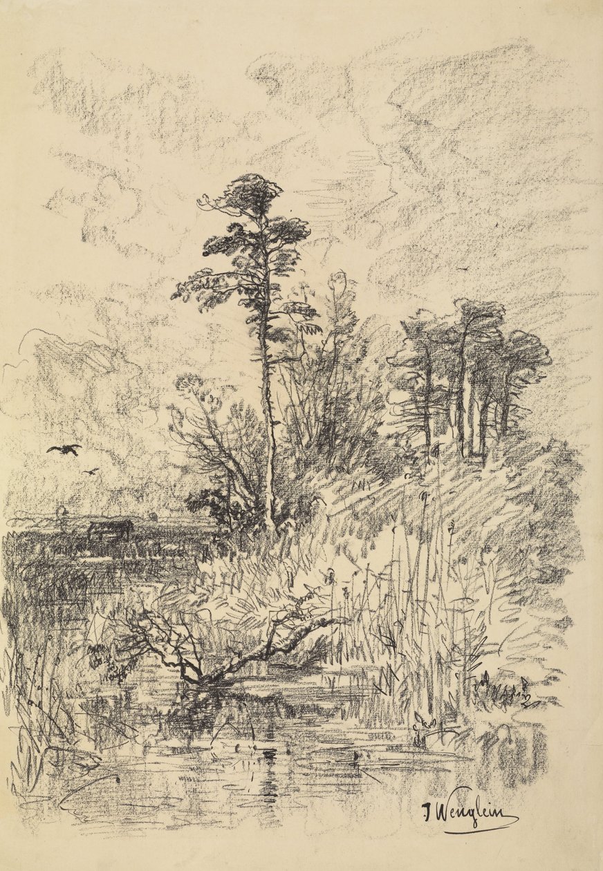 Flodlandskap av Josef Wenglein