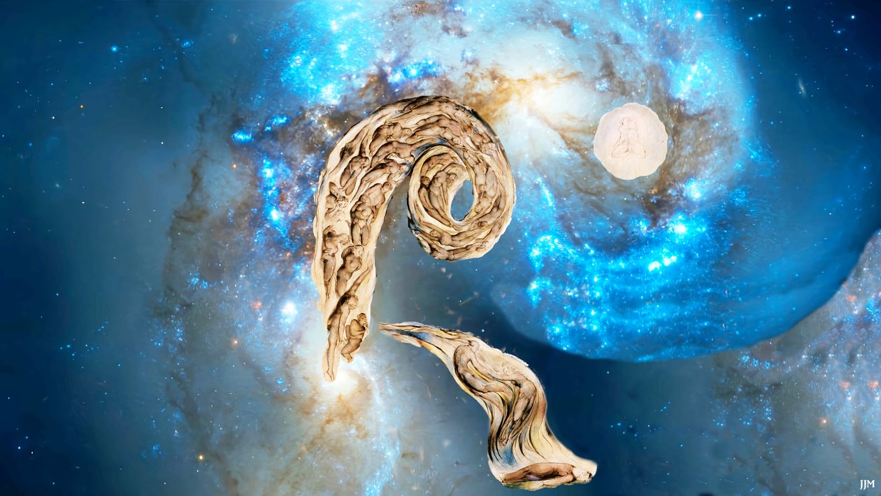 JJM-återskapa: Blake-W_The Whirlwind of Lovers+JWST av Josef Johann Michel