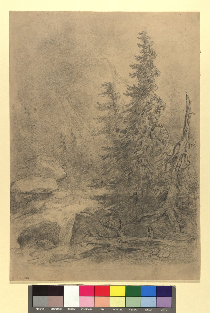 Bergsbäck med barrträd av Josef Kriehuber