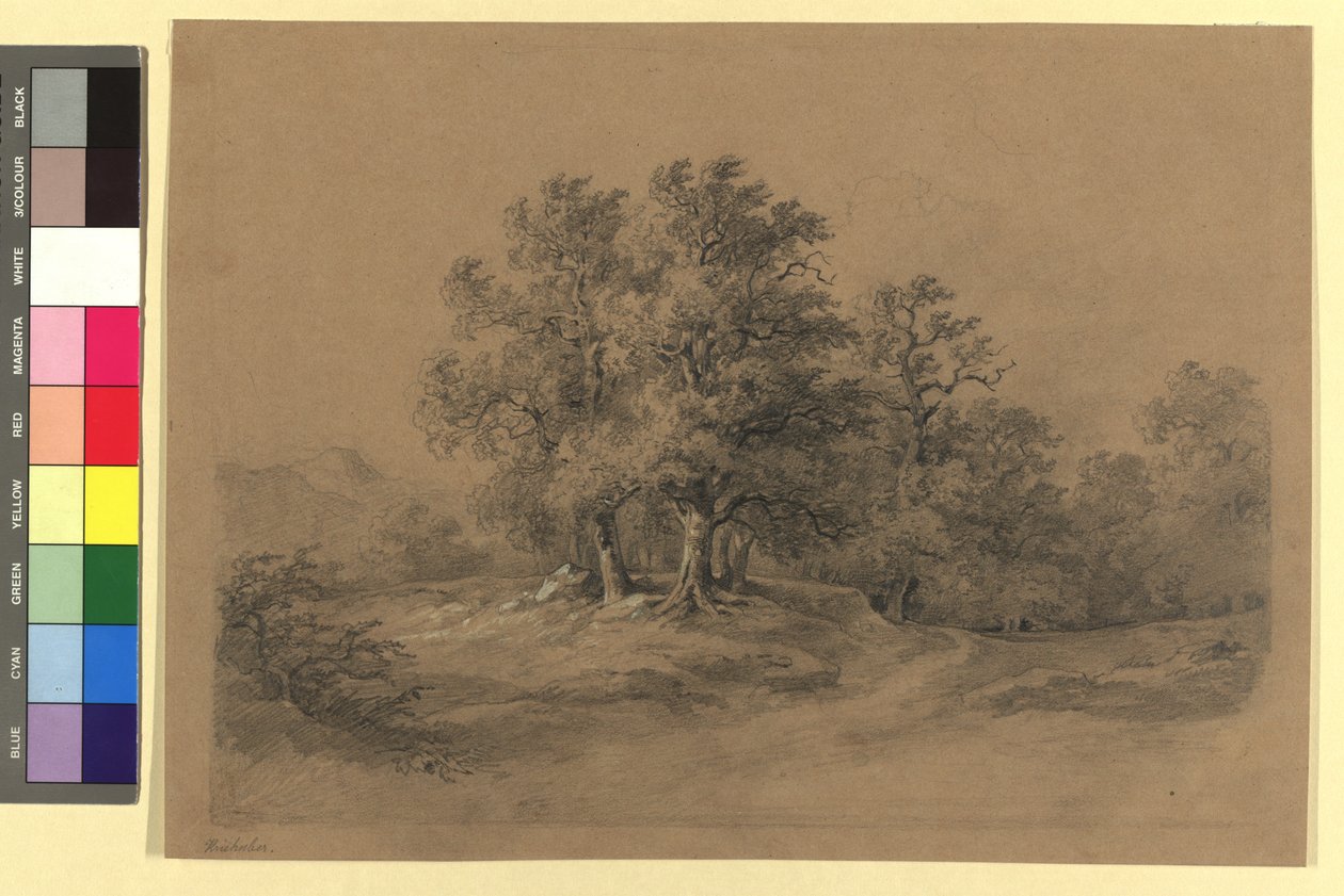 Skogslandskap av Josef Kriehuber