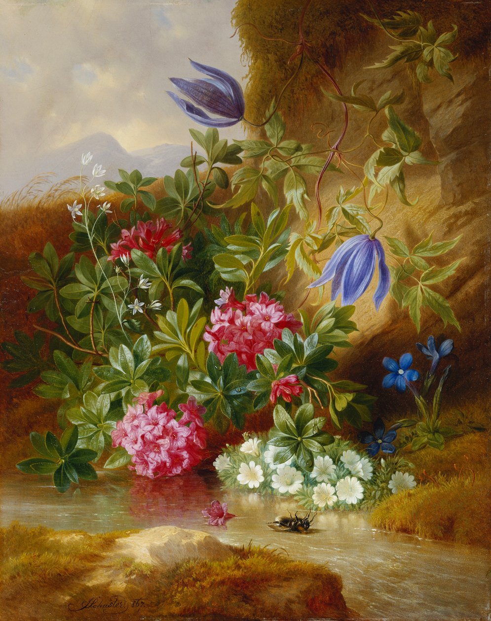 Alpenblum, av Josef Schuster