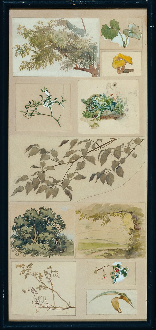 studier från naturen av Josef Wawra