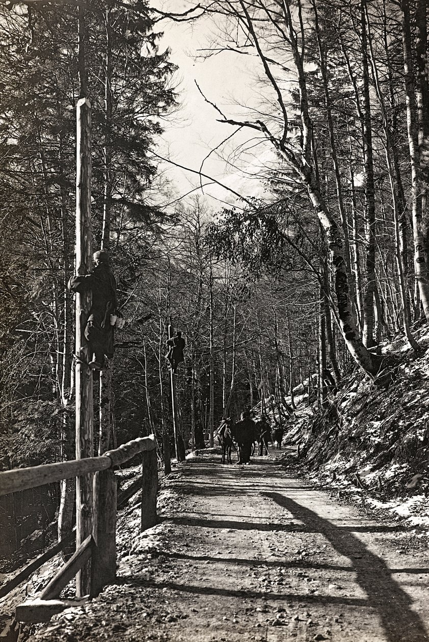 Album "Mitt världskrig - minnen från sydvästra fronten i Kärnten, Italien, Trentino-Alto Adige) 31/03/1915-12/11/ 1918 - Josef Zohles Wien ": soldater på jobbet (s/v foto av Josef Zohles