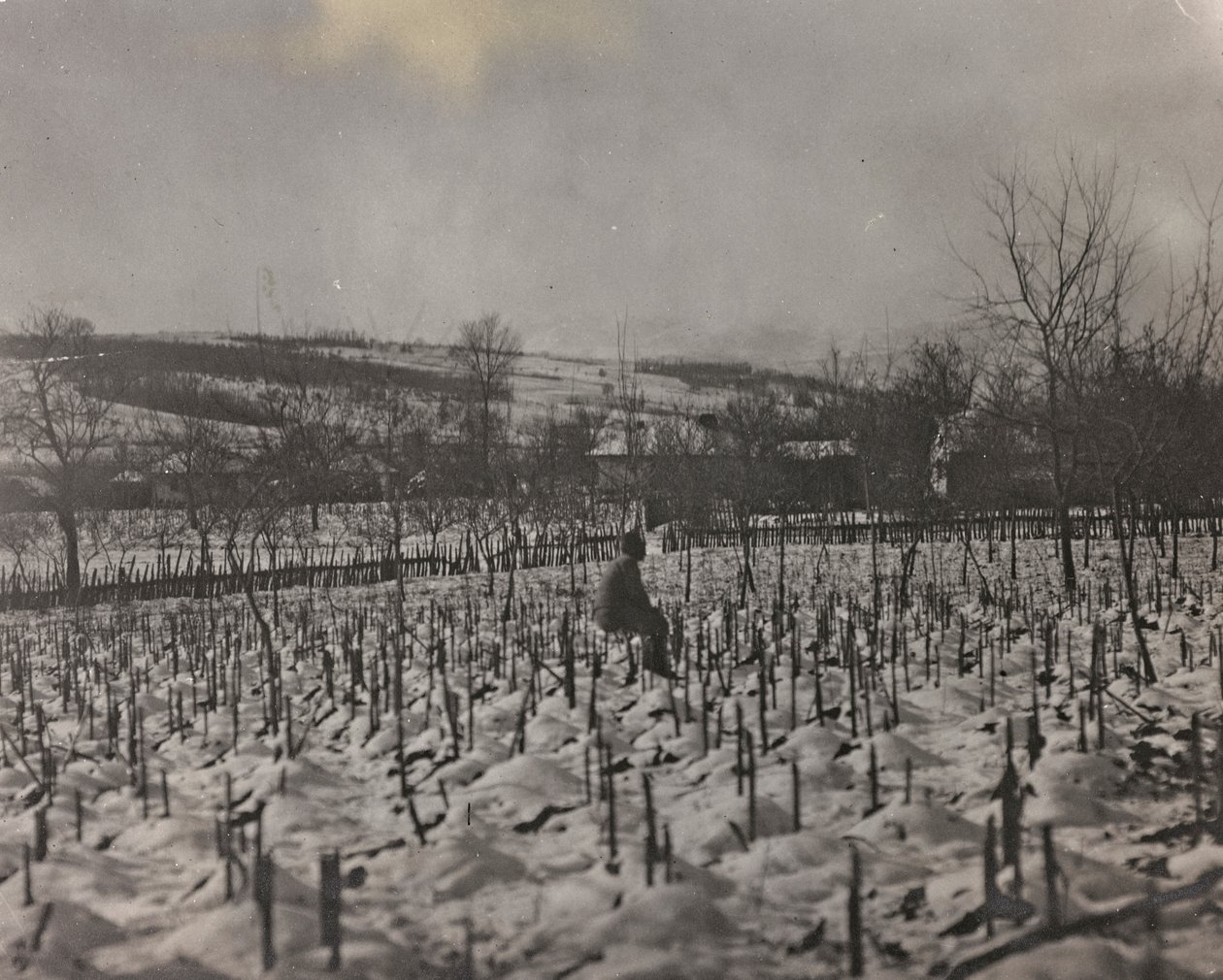 Album "Mitt världskrig - minnen från sydvästra fronten i Kärnten, Italien, Trentino-Alto Adige) 31/03/1915-12/11/1918 - Josef Zohles Wien ": militärkyrkogård (s/v foto av Josef Zohles