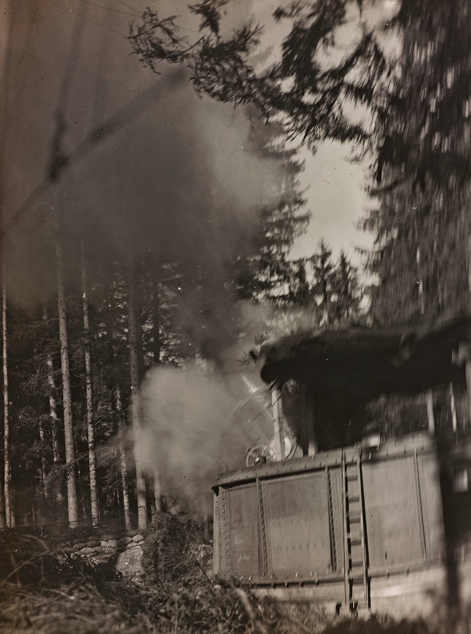 Album "Mitt världskrig - minnen av sydvästra fronten i Kärnten, Italien, Trentino-Alto Adige) 31/03/1915-12/11/ 1918 - Josef Zohles Vienna ": en mortel Morser i aktion ( av Josef Zohles