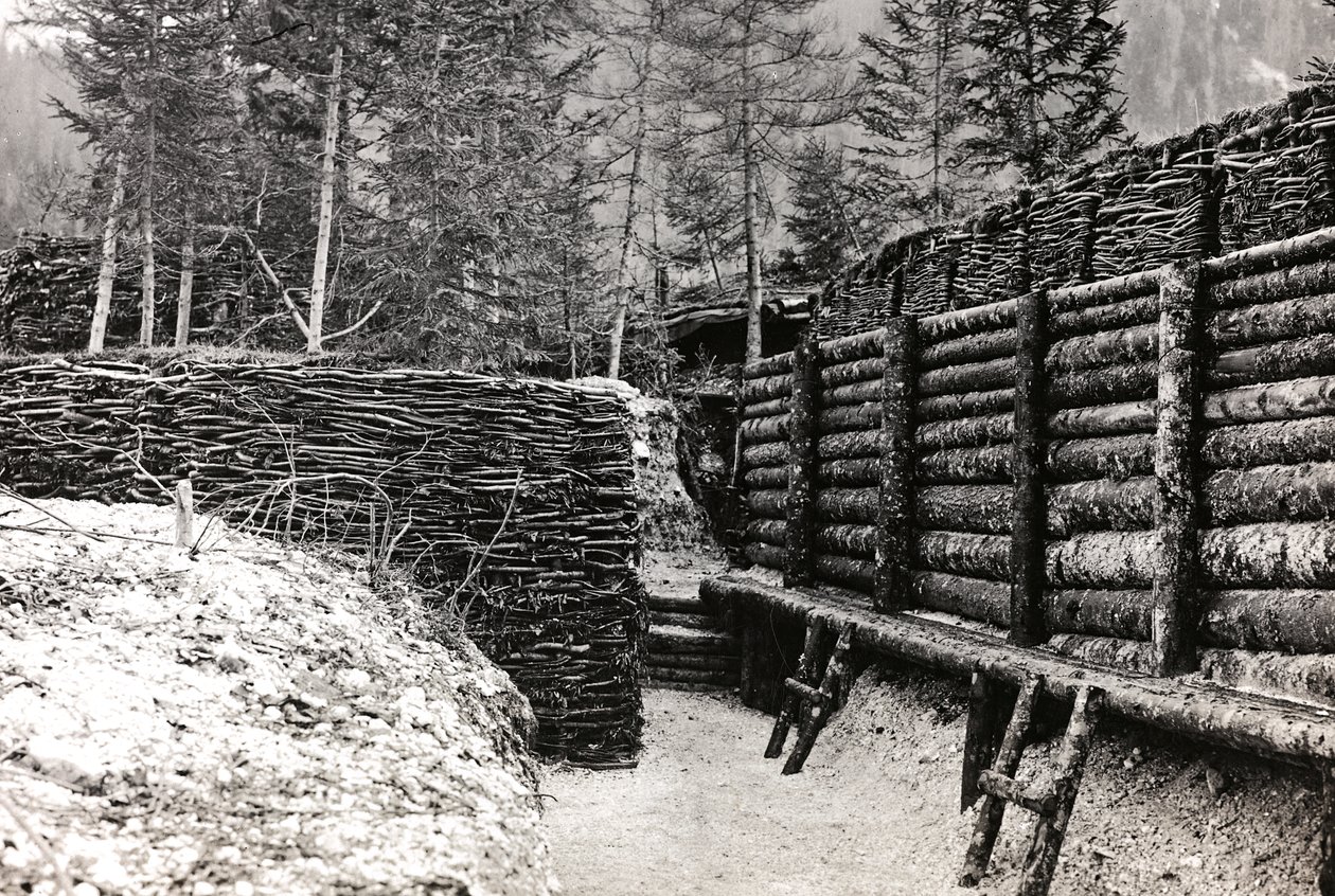 Album "Mitt världskrig - minnen av sydvästra fronten i Kärnten, Italien, Trentino-Alto Adige) 31/03/1915-12/11/ 1918 - Josef Zohles Vienna ": Barriär gjord av stockar in av Josef Zohles