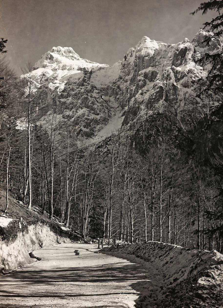 Album "Meine weltkriegs - Erinnerungen South-West Front (Kärnten, Italien, Sydtyrolen) (Mitt världskrig - minnen från sydvästra fronten i Kärnten, Italien, Trentino-Alto Adige) 31/03/1915-12/11/ 1918 - Josef Zohles Wien ": bergsväg (s/v foto) av Josef Zohles