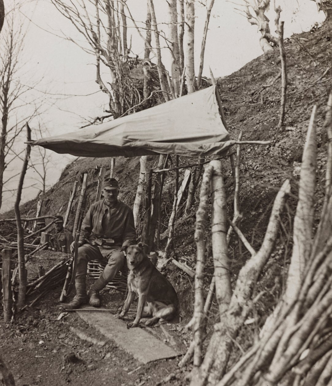 Album "Mitt världskrig - minnen från sydvästra fronten i Kärnten, Italien, Trentino-Alto Adige) 31/03/1915-12/11/ 1918 - Josef Zohles Vienna ": militärhund under ett tält ( av Josef Zohles