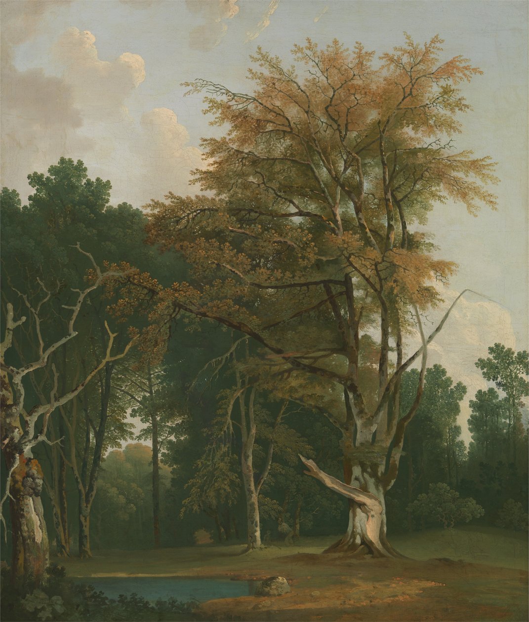 Träd i en Woodland Glade av Joseph Farington