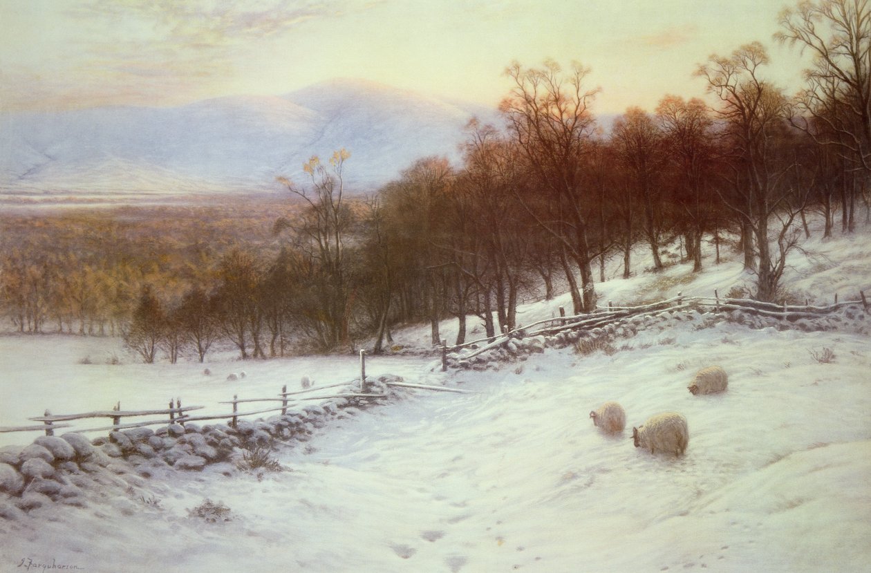 Snötäckta fält med får av Joseph Farquharson