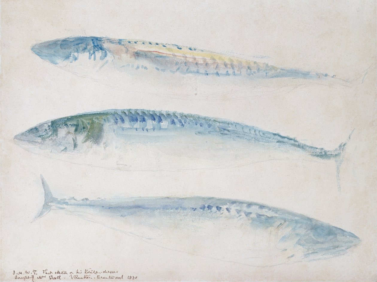 En skiss av tre makrillar (wc och penna på papper) av Joseph Mallord William Turner