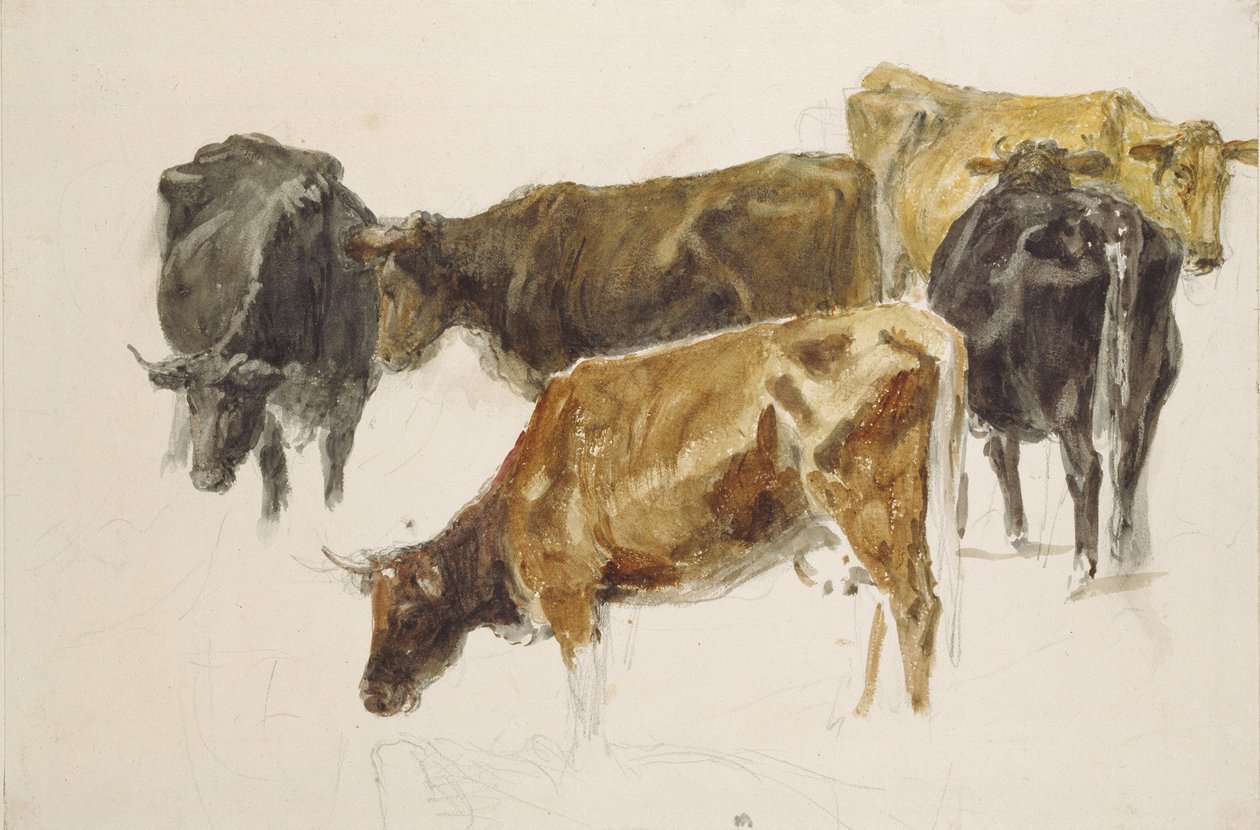 Studie av en grupp kor, ca. 1801 (akvarell över grafit, med några repor, på vävt papper) av Joseph Mallord William Turner