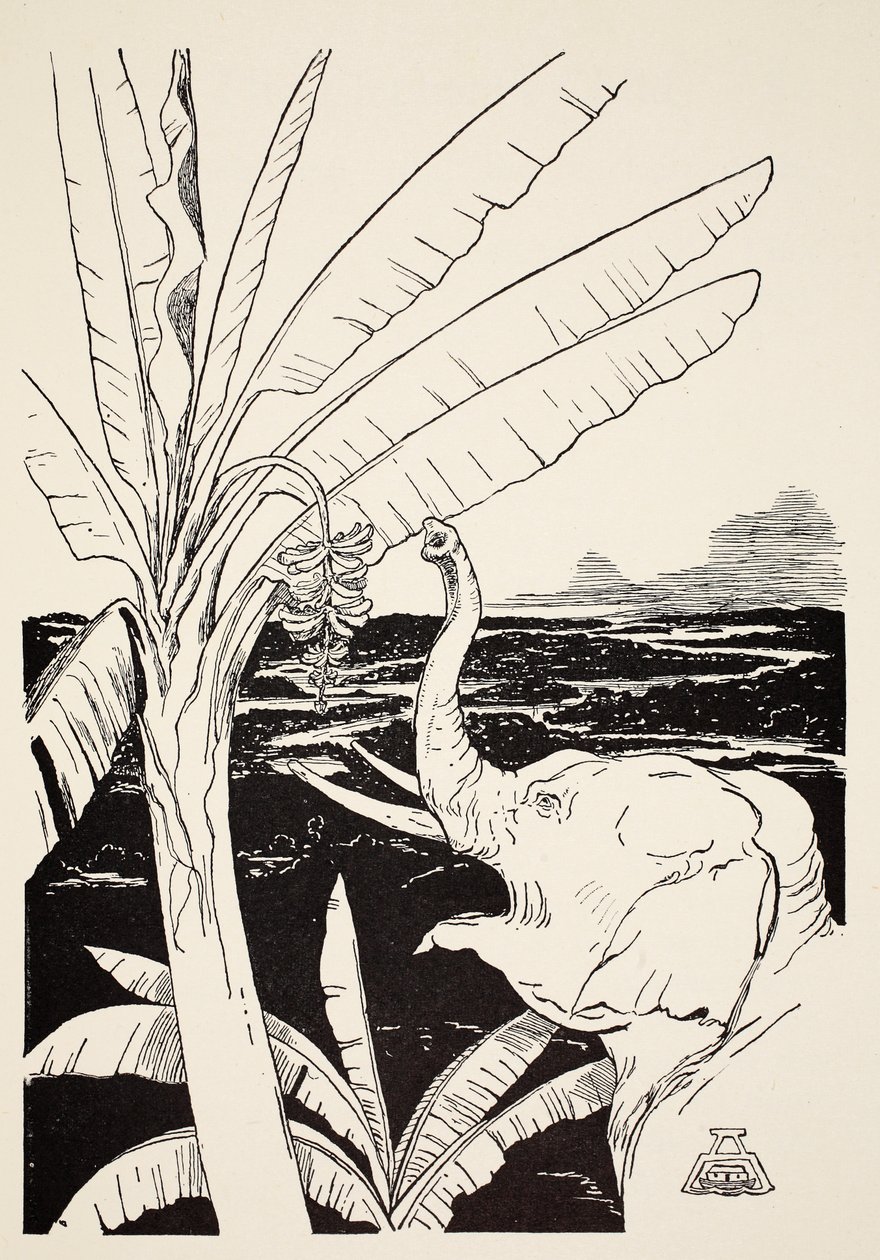 Elefantens barn kommer att dra bananer från ett bananträd efter att han fått sin fina nya snabel, illustration från "Just So Stories for Little Children" av Rudyard Kipling, pub. London, 1951 av Joseph Rudyard Kipling