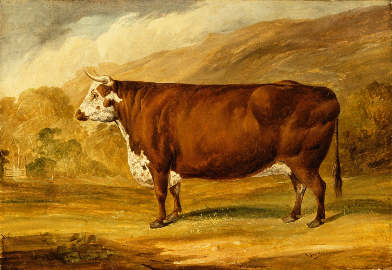 A Hereford Bull (olja på duk) av Joseph Dunn