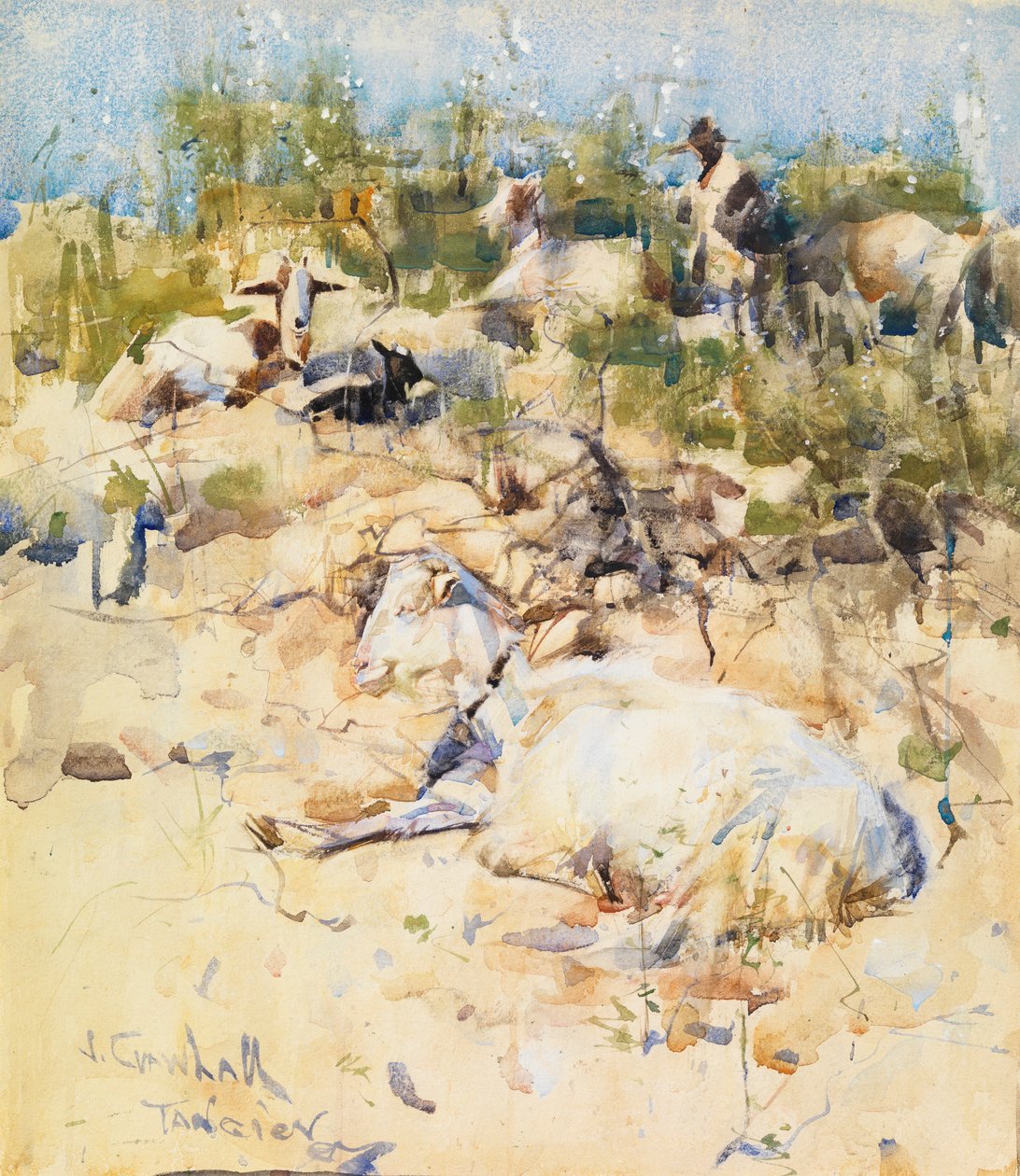 Goats on a Hillside, Tangier (akvarell med inslag av gouache på papper) av Joseph Crawhall