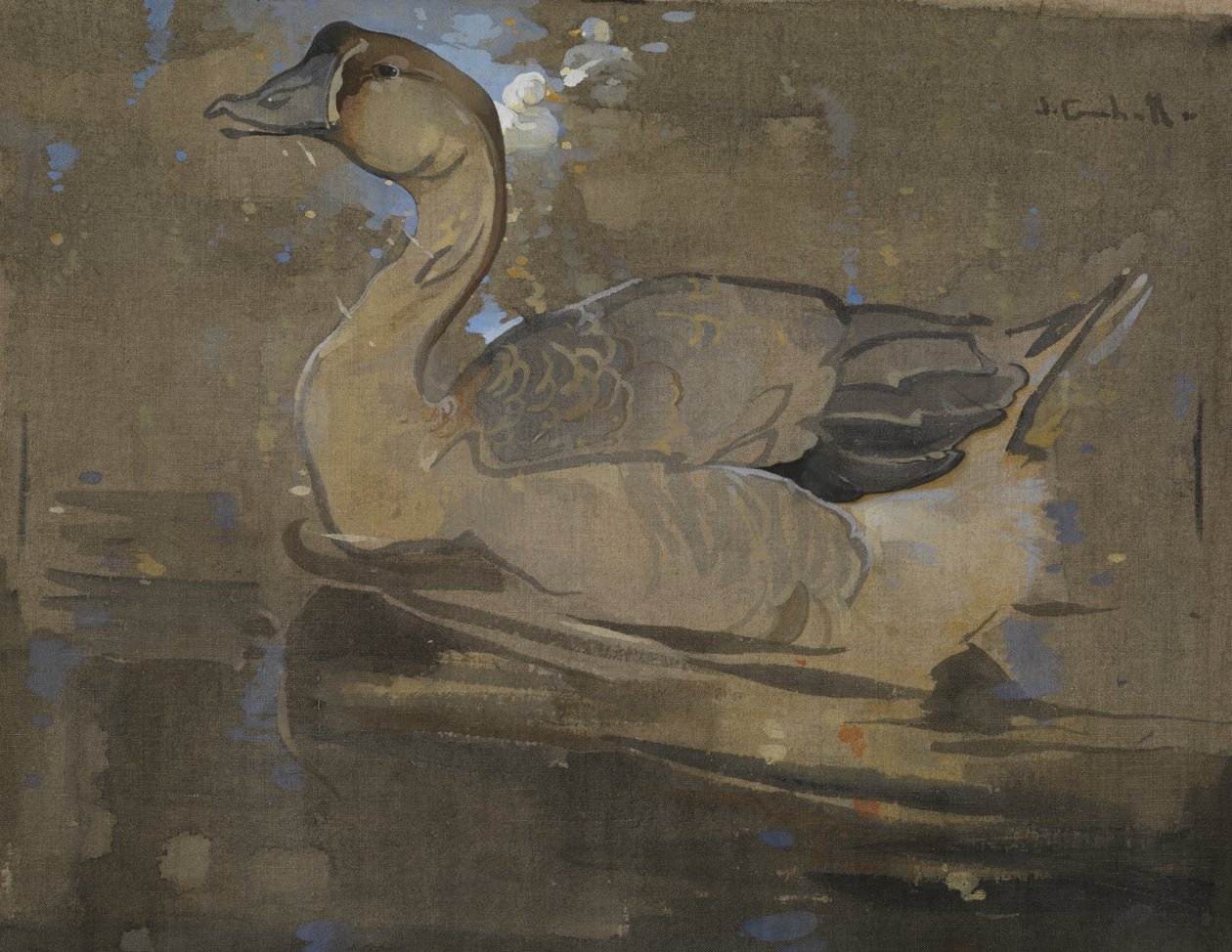 Den kinesiska gåsen (gouache på linne) av Joseph Crawhall