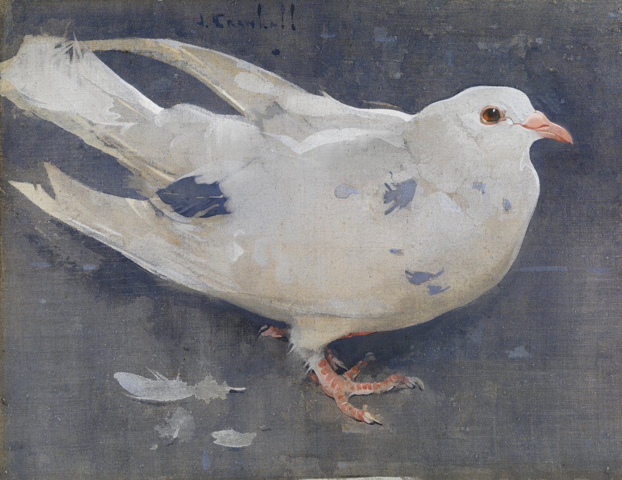 The Pigeon (gouache på linne) av Joseph Crawhall