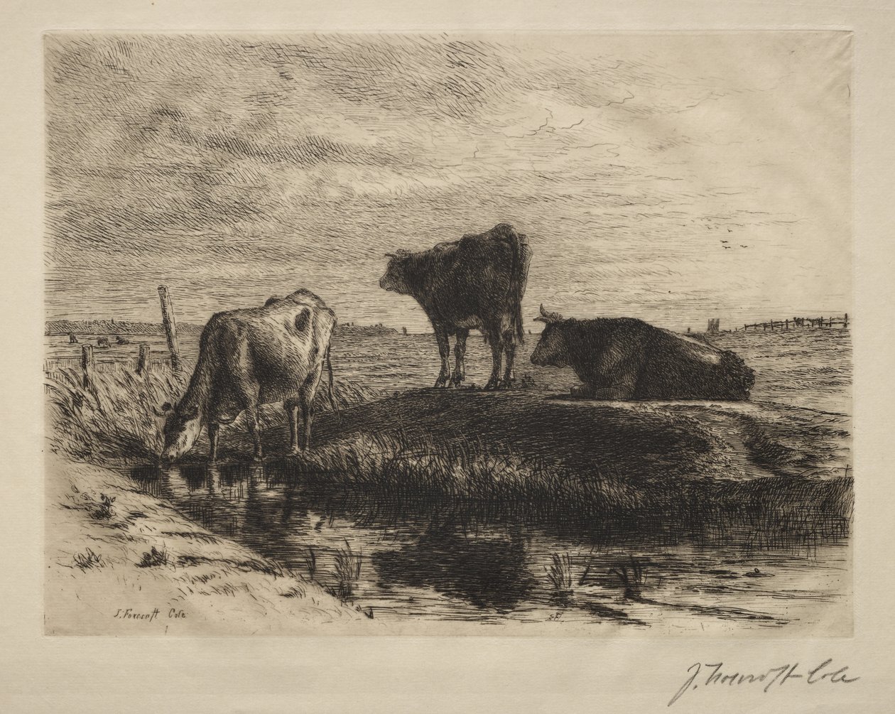 De tre korna. av Joseph Foxcroft Cole