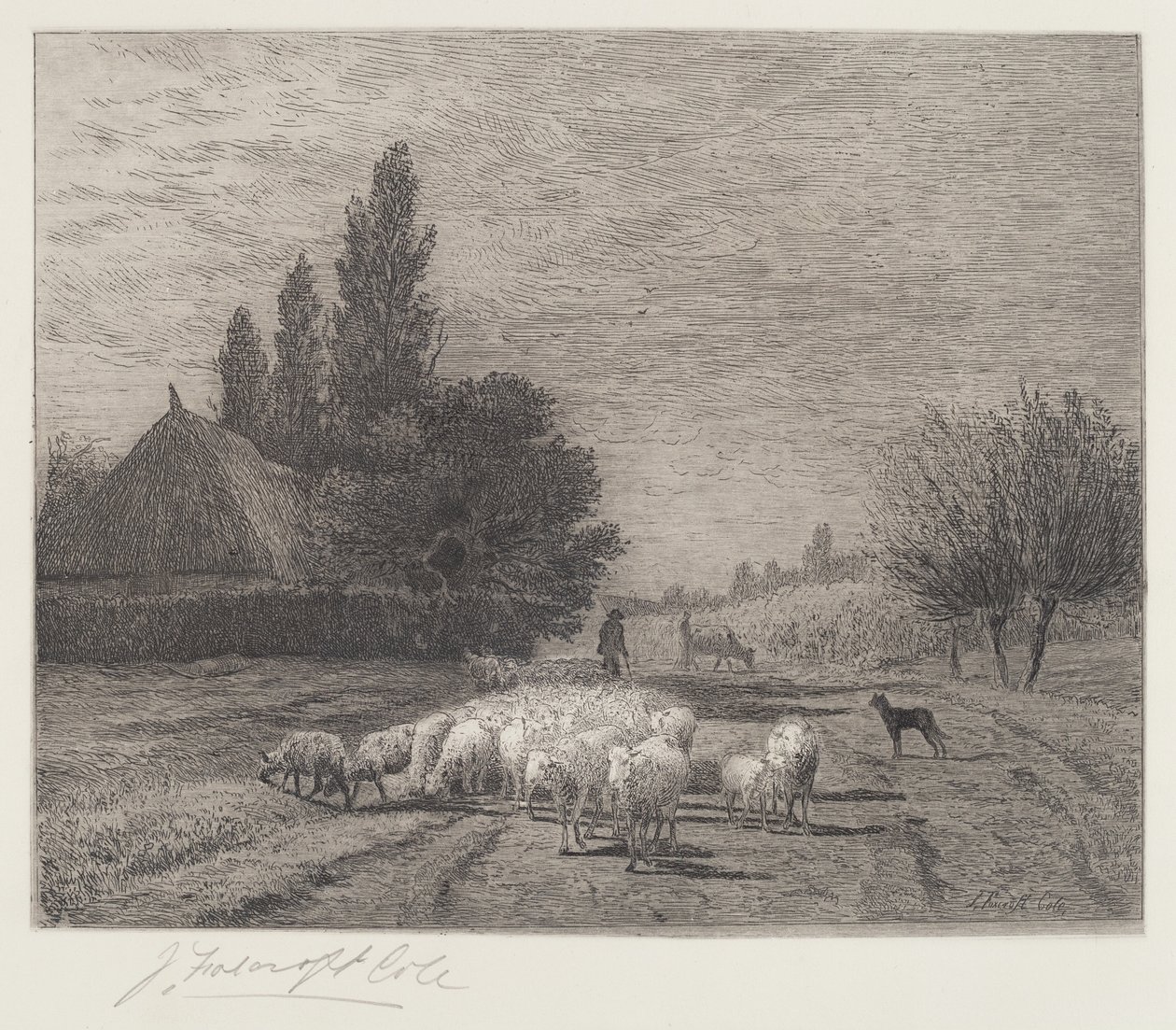 Bygata i Frankrike med en flock får av Joseph Foxcroft Cole