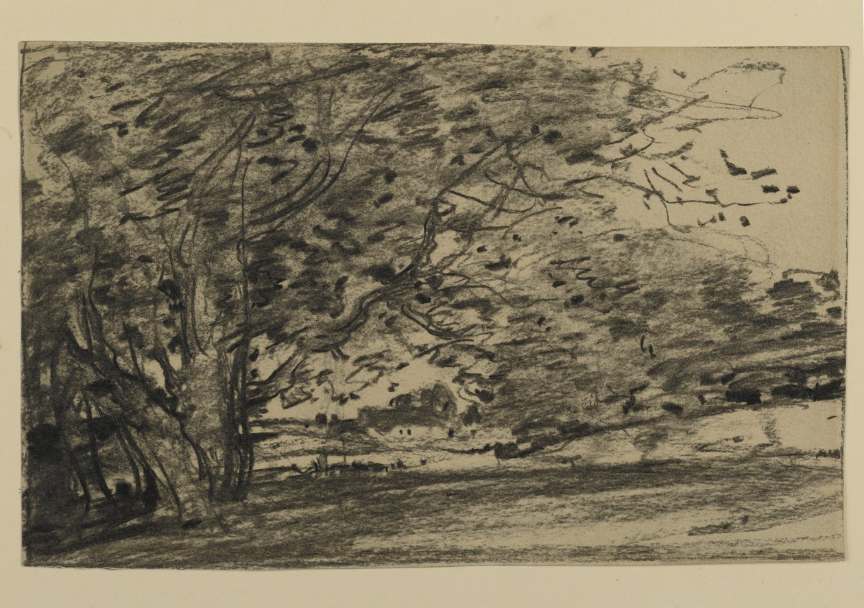 Study of Trees, 1870 (grafit på papper) av Joseph Frank Currier