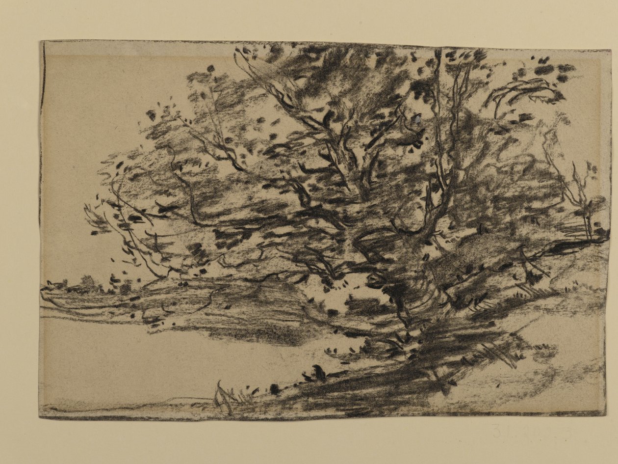 Study of Trees, 1870 (grafit på papper) av Joseph Frank Currier