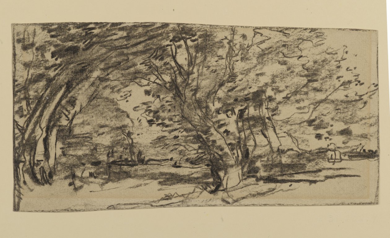 Study of Trees, 1870 (grafit på papper) av Joseph Frank Currier