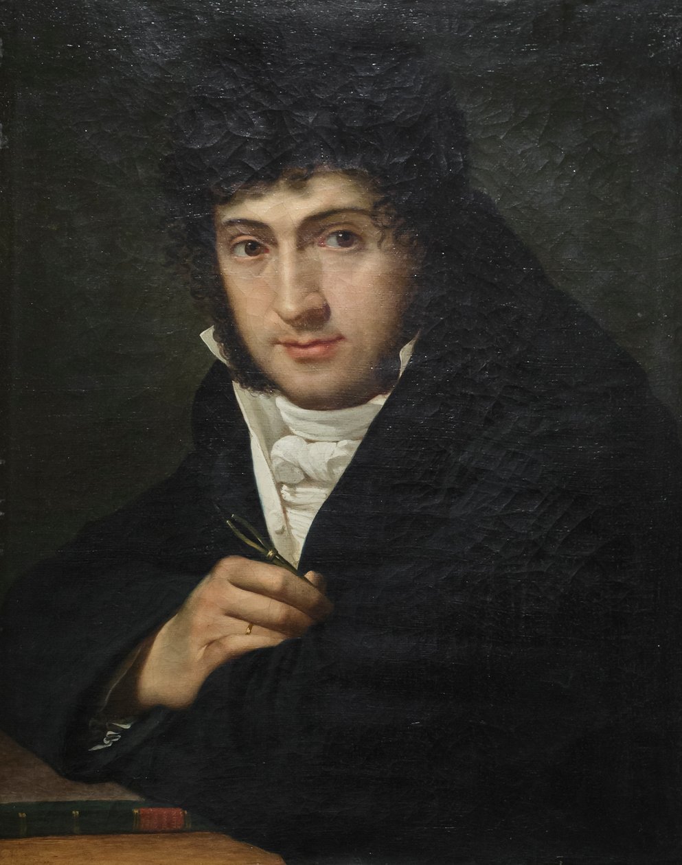 Porträtt av Pelagio Palagi, Joseph François Ducq (olja på duk) av Joseph François Ducq