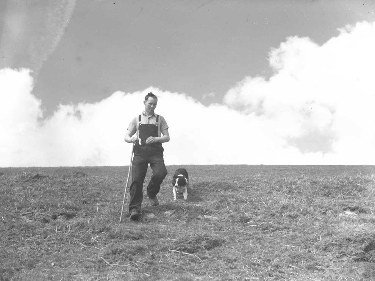 En man och hans herdehund promenerar i Martindale av Joseph Hardman