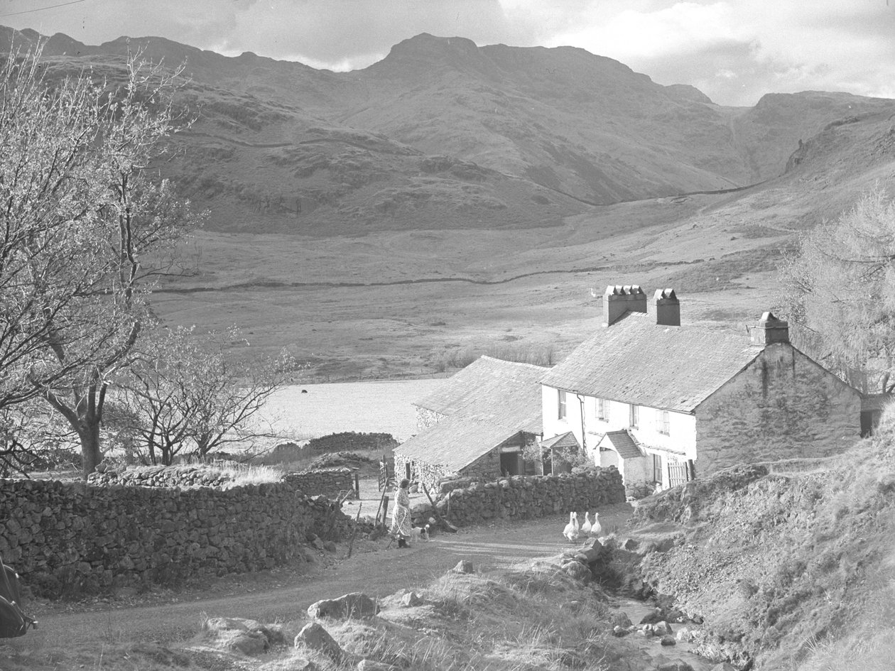 Gård (i Langdales) med kvinna och hundar som tittar på ankor och gårdsbyggnader bakom av Joseph Hardman