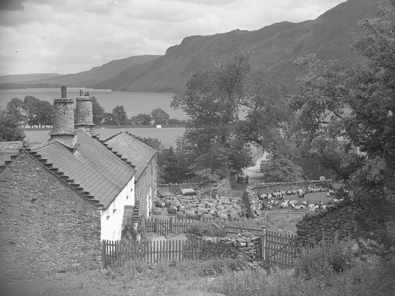 Gårdsbyggnader med får på gårdsplanen och Ullswater i bakgrunden av Joseph Hardman
