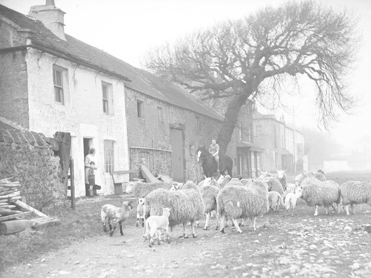 Flock får och lamm på spår framför gårdshus med man på häst som pratar med kvinna och barn vid dörren till huset av Joseph Hardman