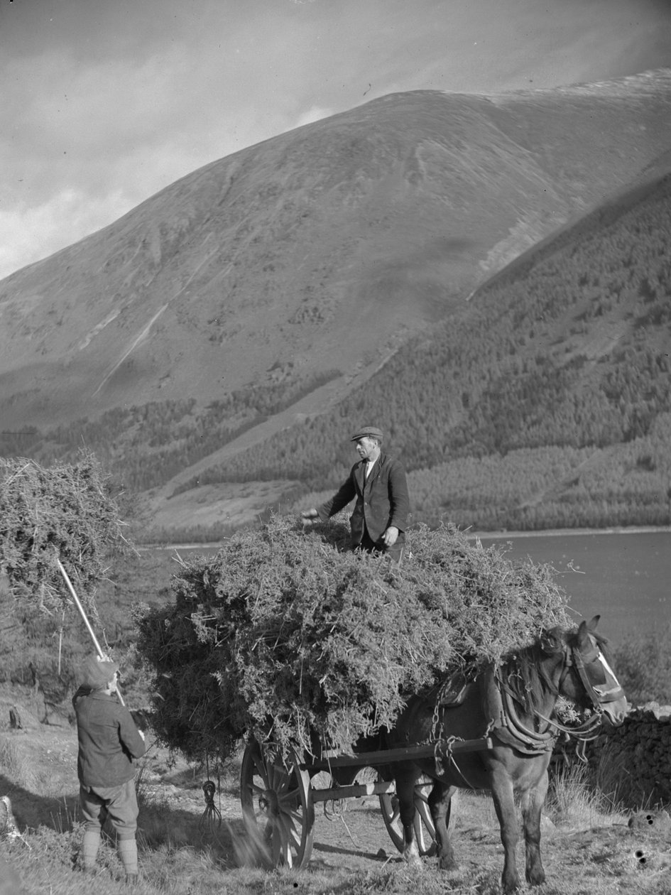 Man står på en vagn med bräken medan en annan lastar mer med en gaffel av Joseph Hardman