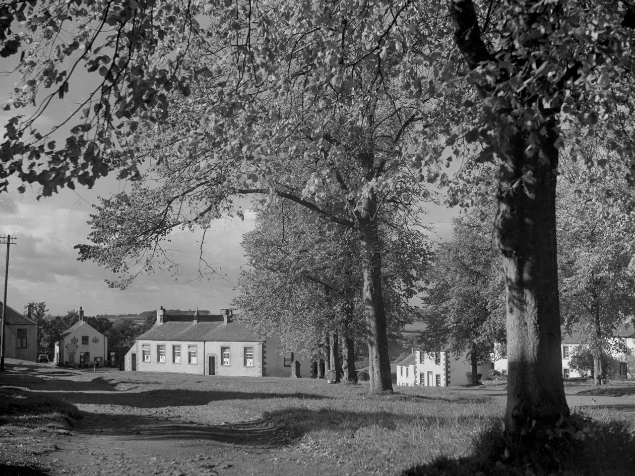 Träd i löv och utsikt över bybyggnader av Joseph Hardman