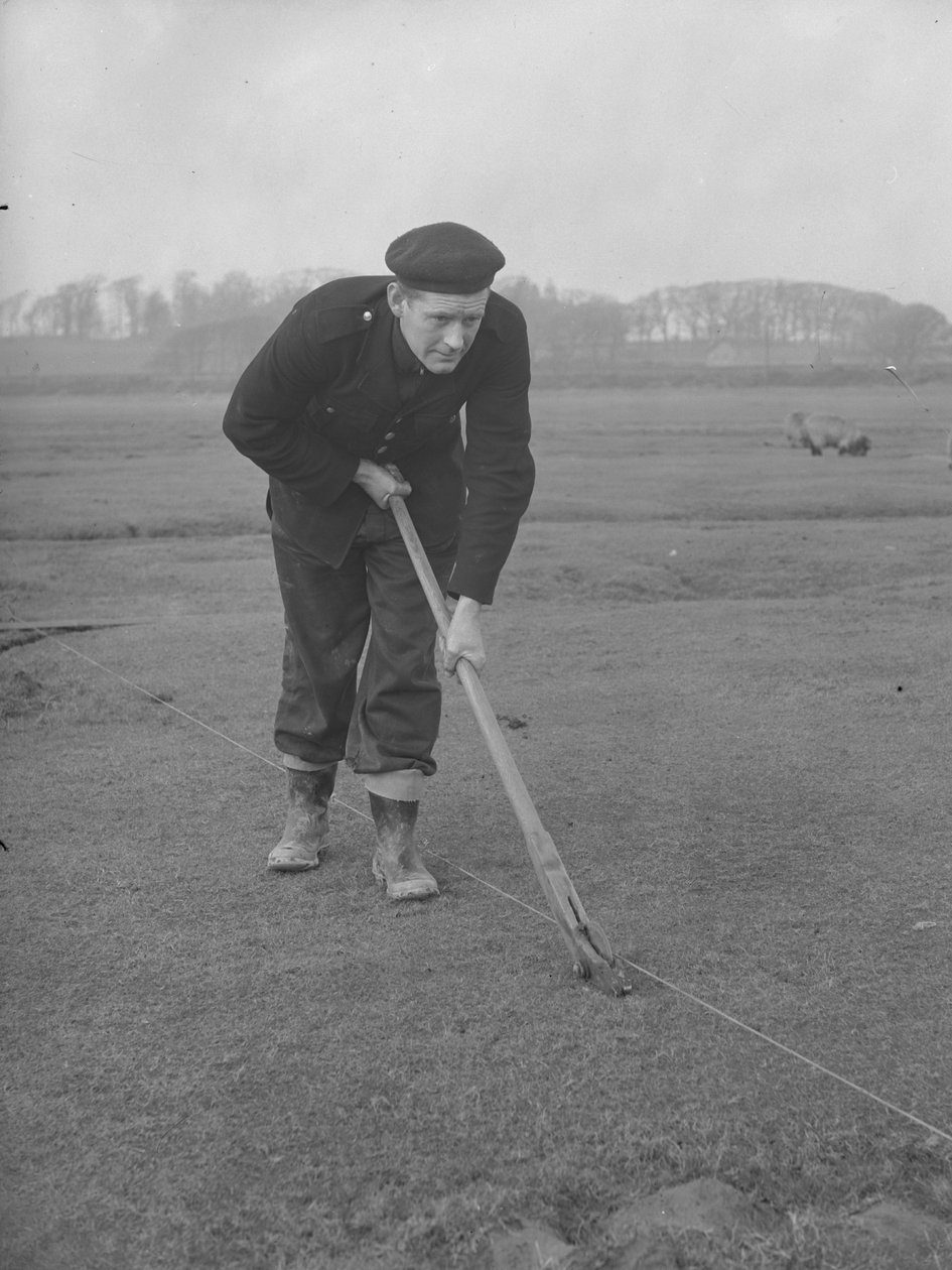 Gräsklippare som klipper gräs av Joseph Hardman