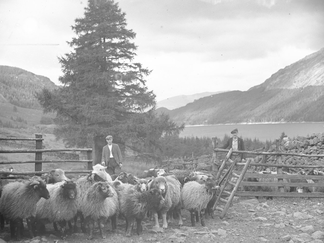 Två herdar med en flock får och Thirlmere bakom av Joseph Hardman