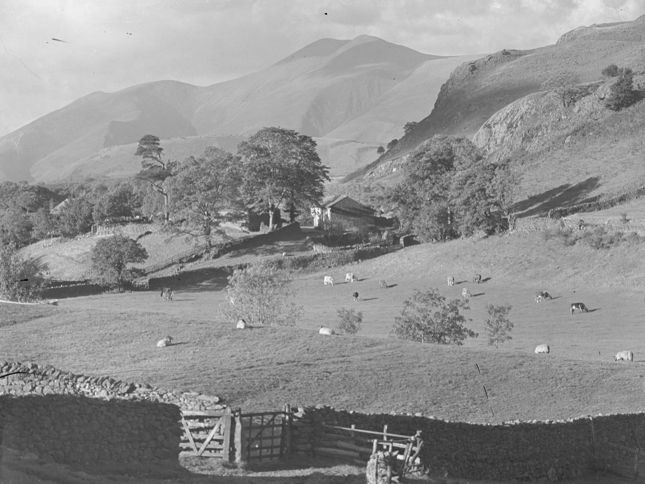Utsikt över fält till gård vid Thirlmere med får och kor av Joseph Hardman