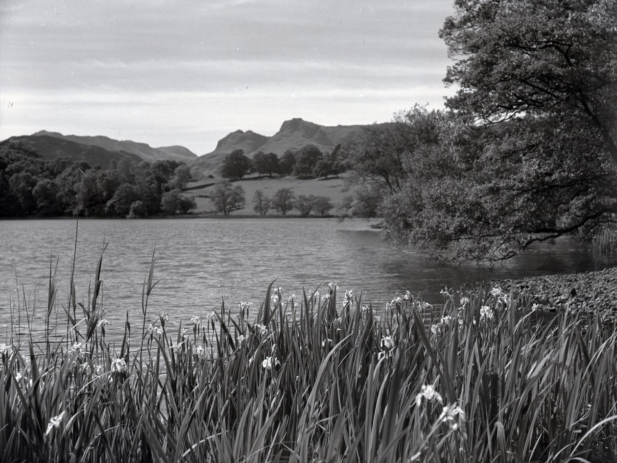 Utsikt över Loughrigg Tarn av Joseph Hardman