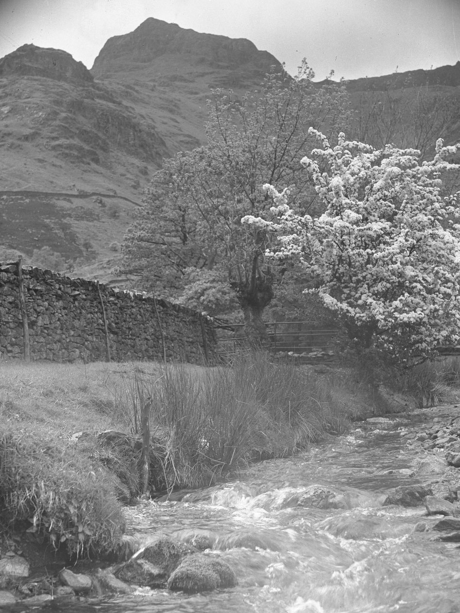 Vy över bergsflod med blommande träd i förgrunden och Langdale Pikes i bakgrunden av Joseph Hardman