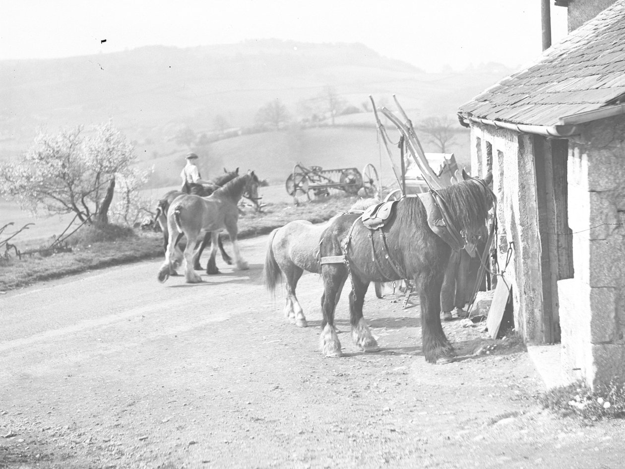 Arbetshästar utanför Crostwaite Smithy av Joseph Hardman