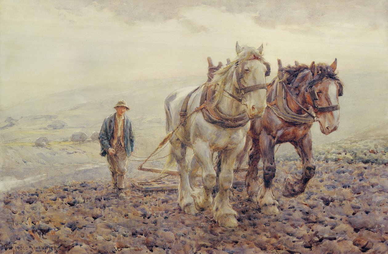 Harvning på South Downs nära Wilmington, Sussex, av Joseph Harold Swanwick