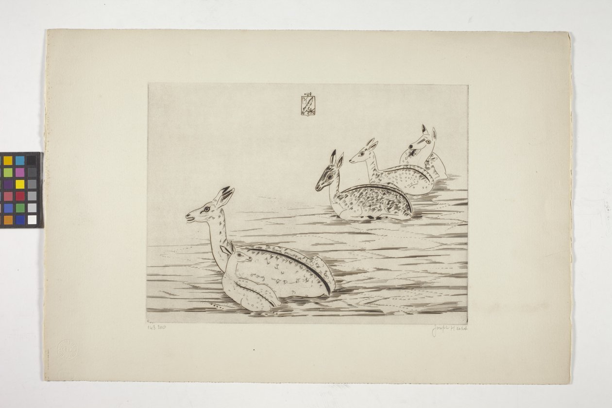 Cerfs Indochinois I (Indokinesisk hjort I) (gravyr på krämvävt papper) av Joseph Hecht